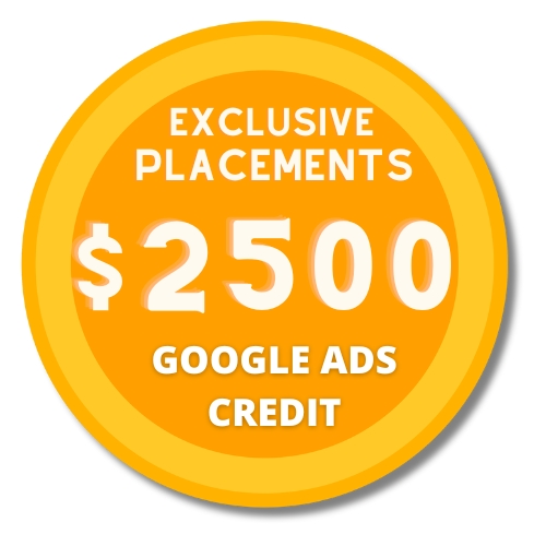 Google Ads Credit